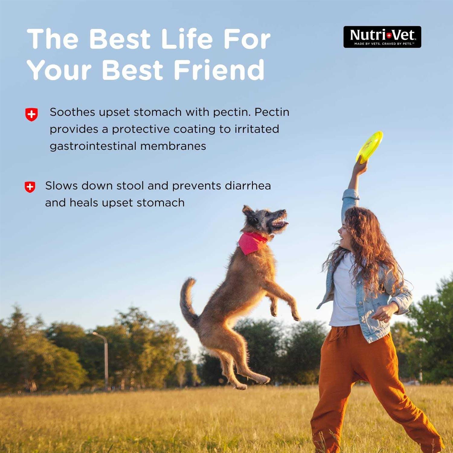Alternative view of Nutri-Vet Anti-Diarrhea Liquid