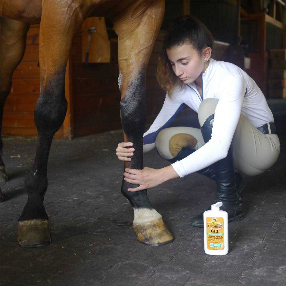 Alternative view of Absorbine Veterinary Liniment Gel