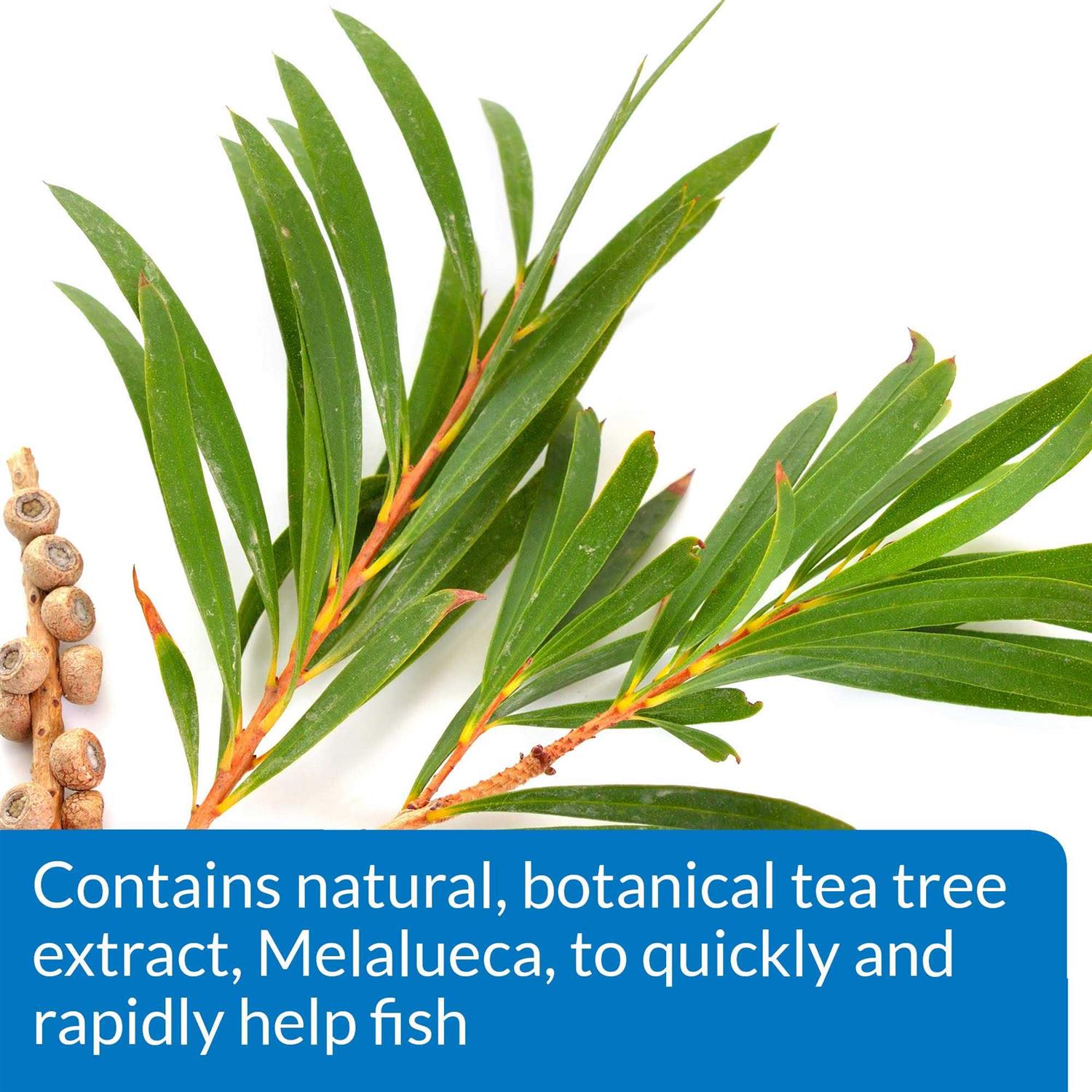 Alternative view of API MelaFix Fish Remedy