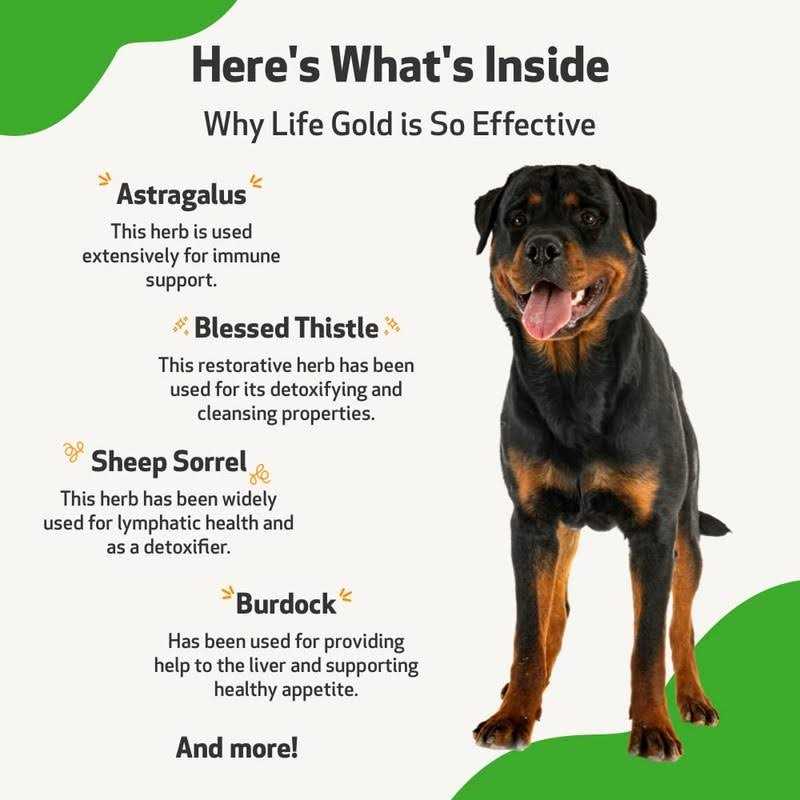 Alternative view of Pet Wellbeing Life Gold for Dogs