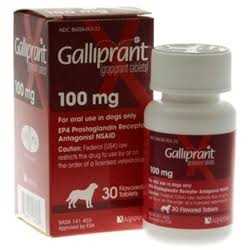 Galliprant mg for Dogs