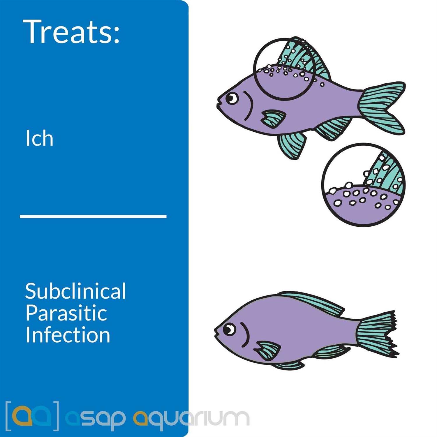 Alternative view of API Liquid Super Ick Cure