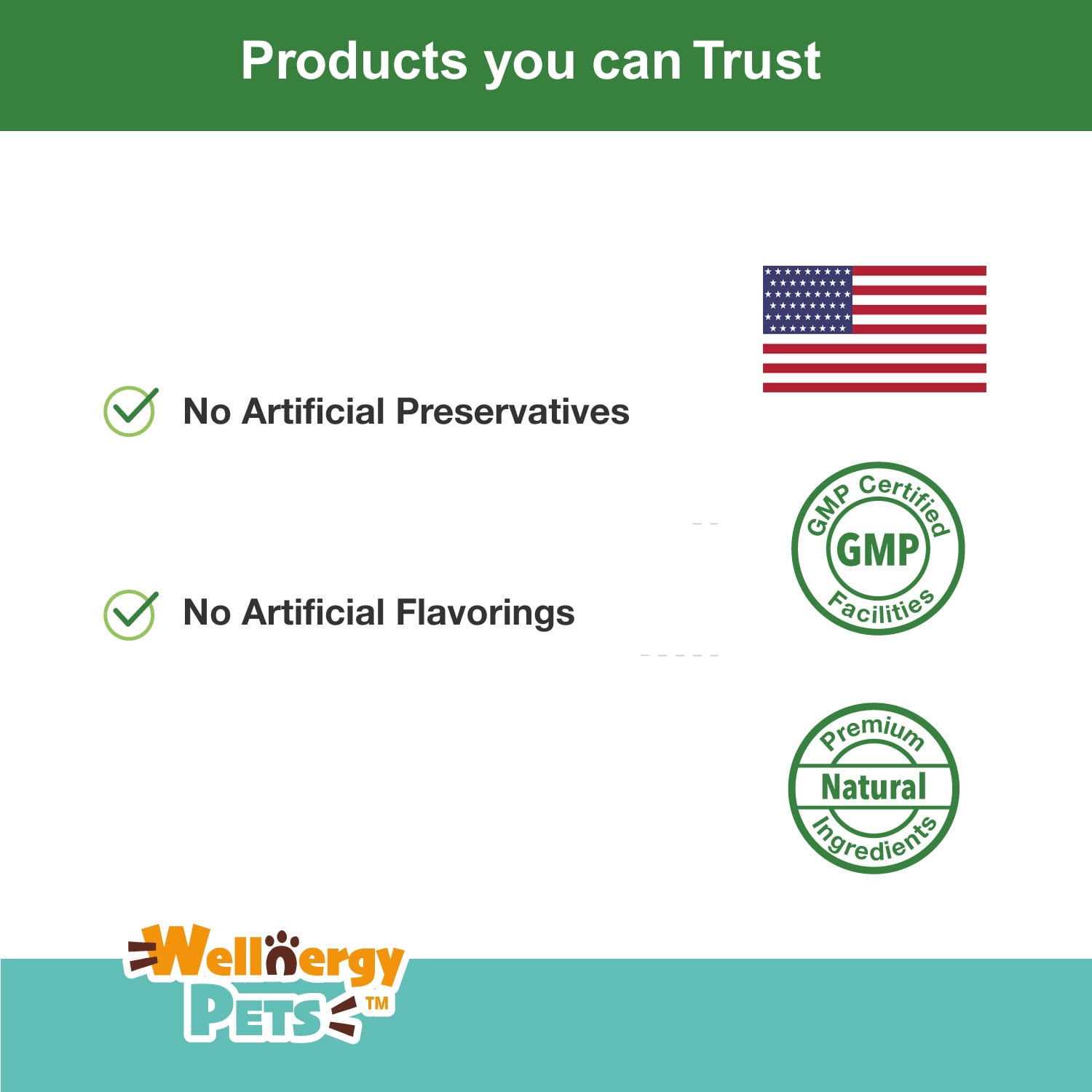Alternative view of Wellnergy Pets Anti-Diarrhea for Dogs and Cats with Syringe