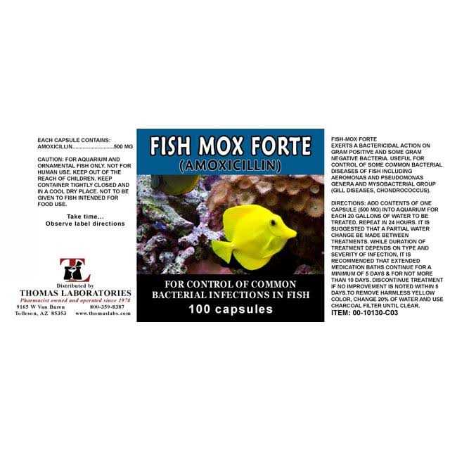 Alternative view of Thomas Labs Fish Flex Forte 500 mg. 100 Capsules