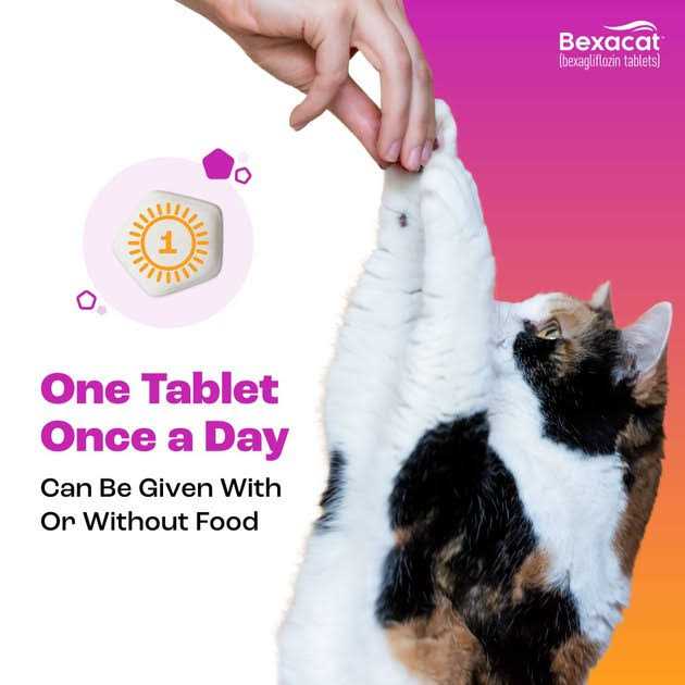 Alternative view of Bexacat for Cats 15 mg
