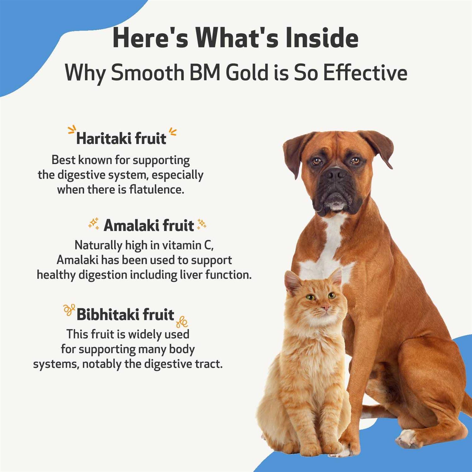 Alternative view of Pet Wellbeing Smooth BM Gold