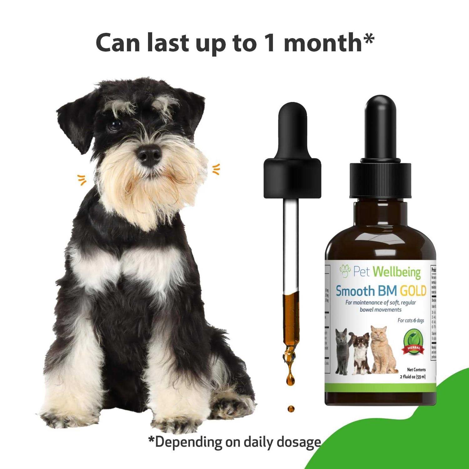 Alternative view of Pet Wellbeing Smooth BM Gold