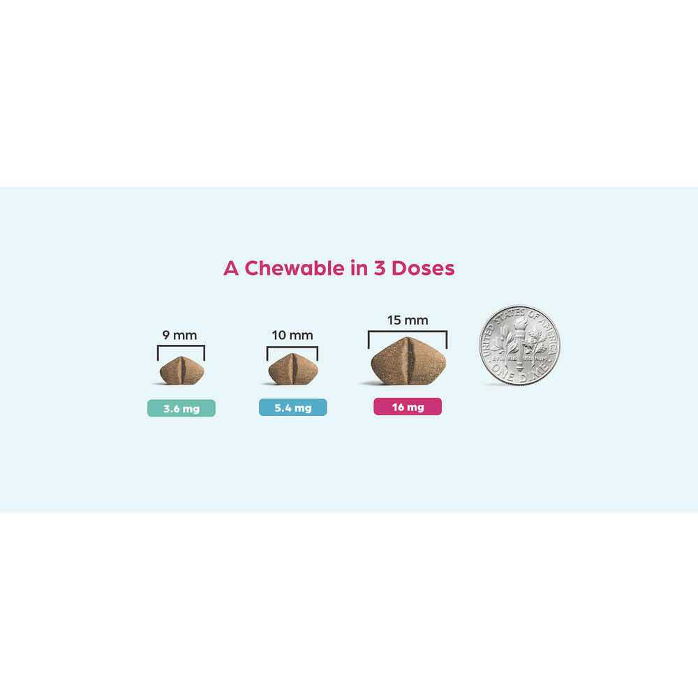 Alternative view of Apoquel Chewable for Dogs