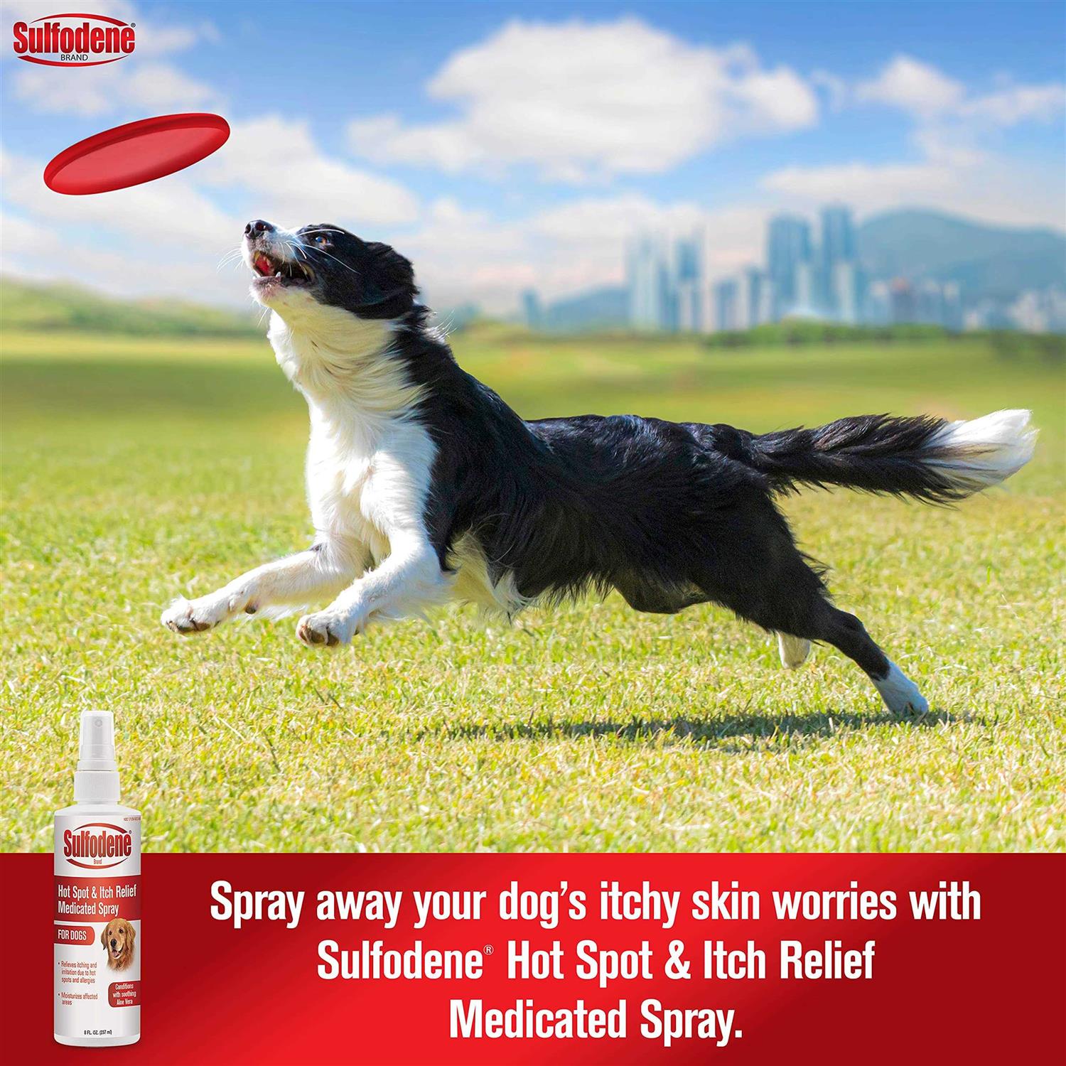 Alternative view of Sulfodene Hot Spot & Itch Relief Medicated Spray