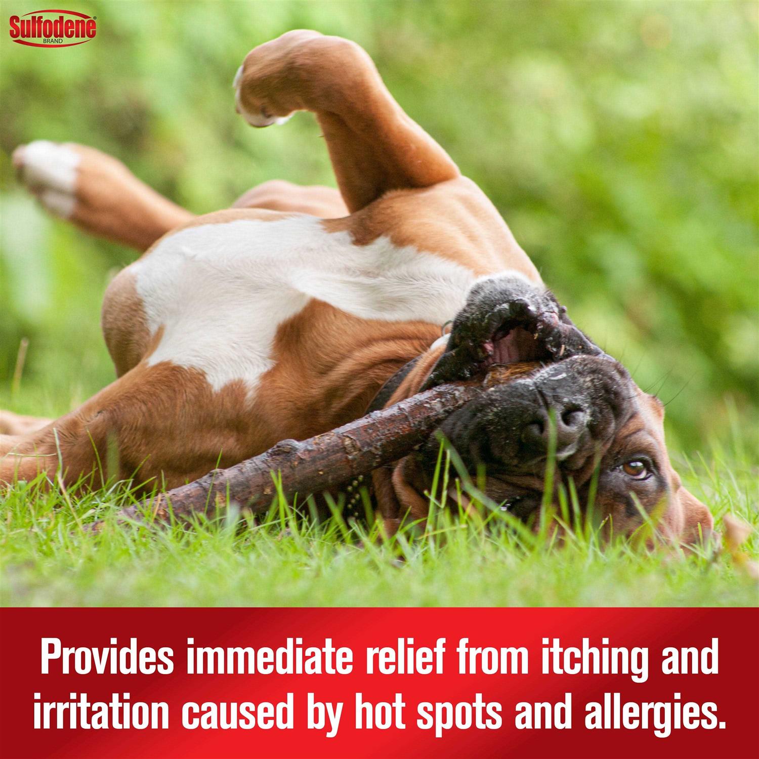 Alternative view of Sulfodene Hot Spot & Itch Relief Medicated Spray