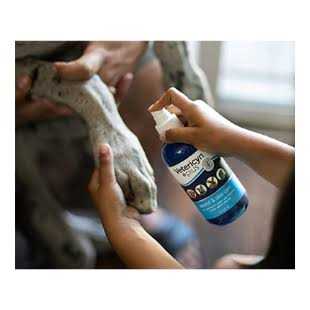 Alternative view of Vetericyn Wound & Skin Care 16 oz