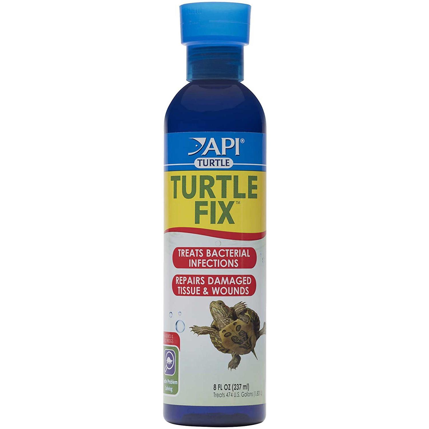 API Turtle Fix