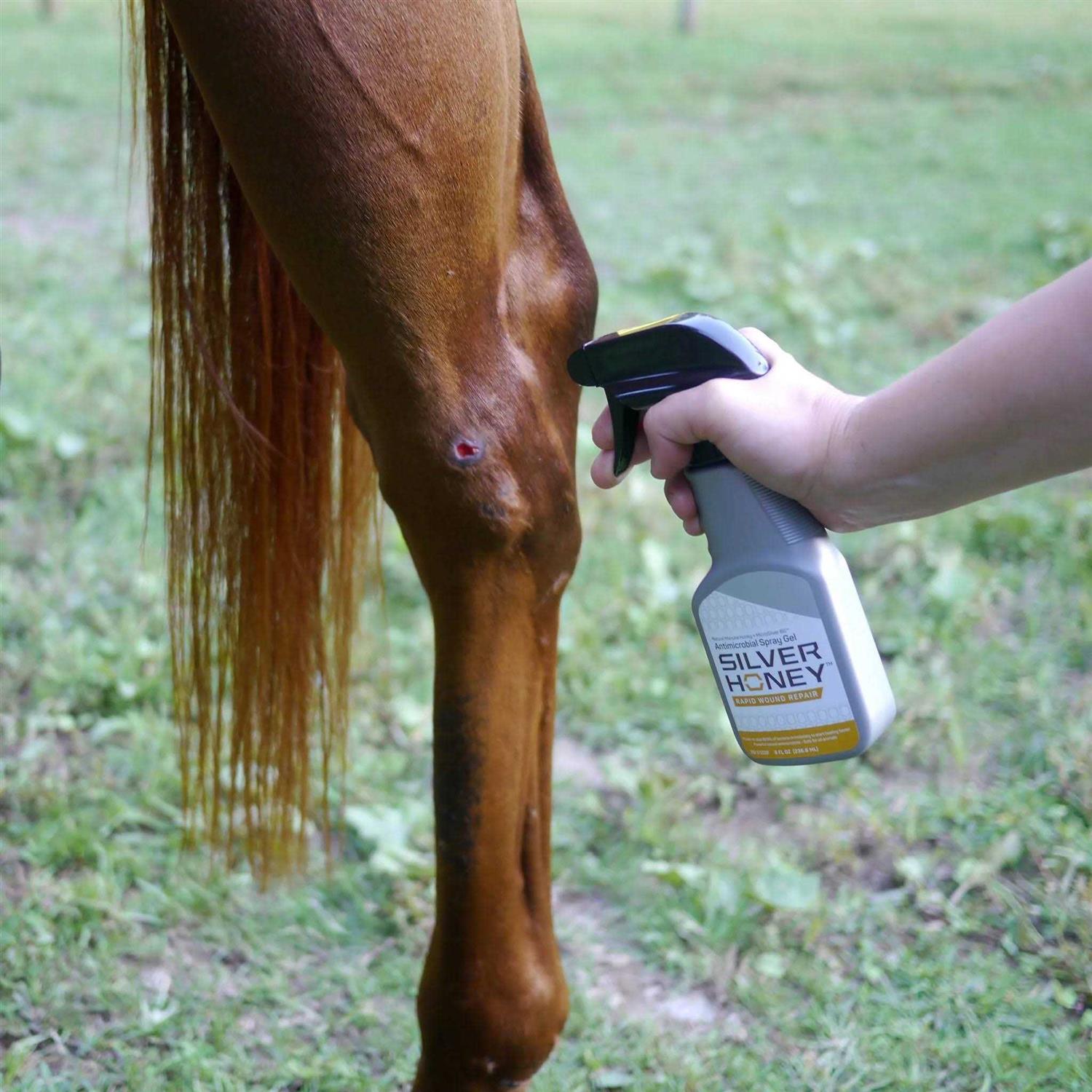 Alternative view of Silver Honey Hot Spot & Wound Care Spray Gel