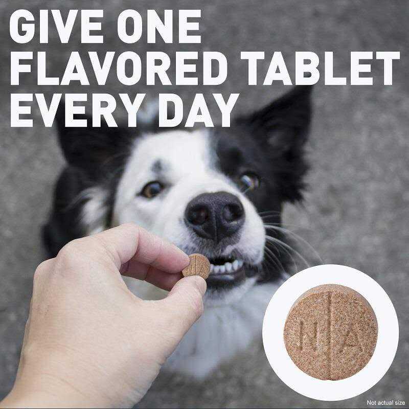 Alternative view of Deramaxx Chewable Tablets