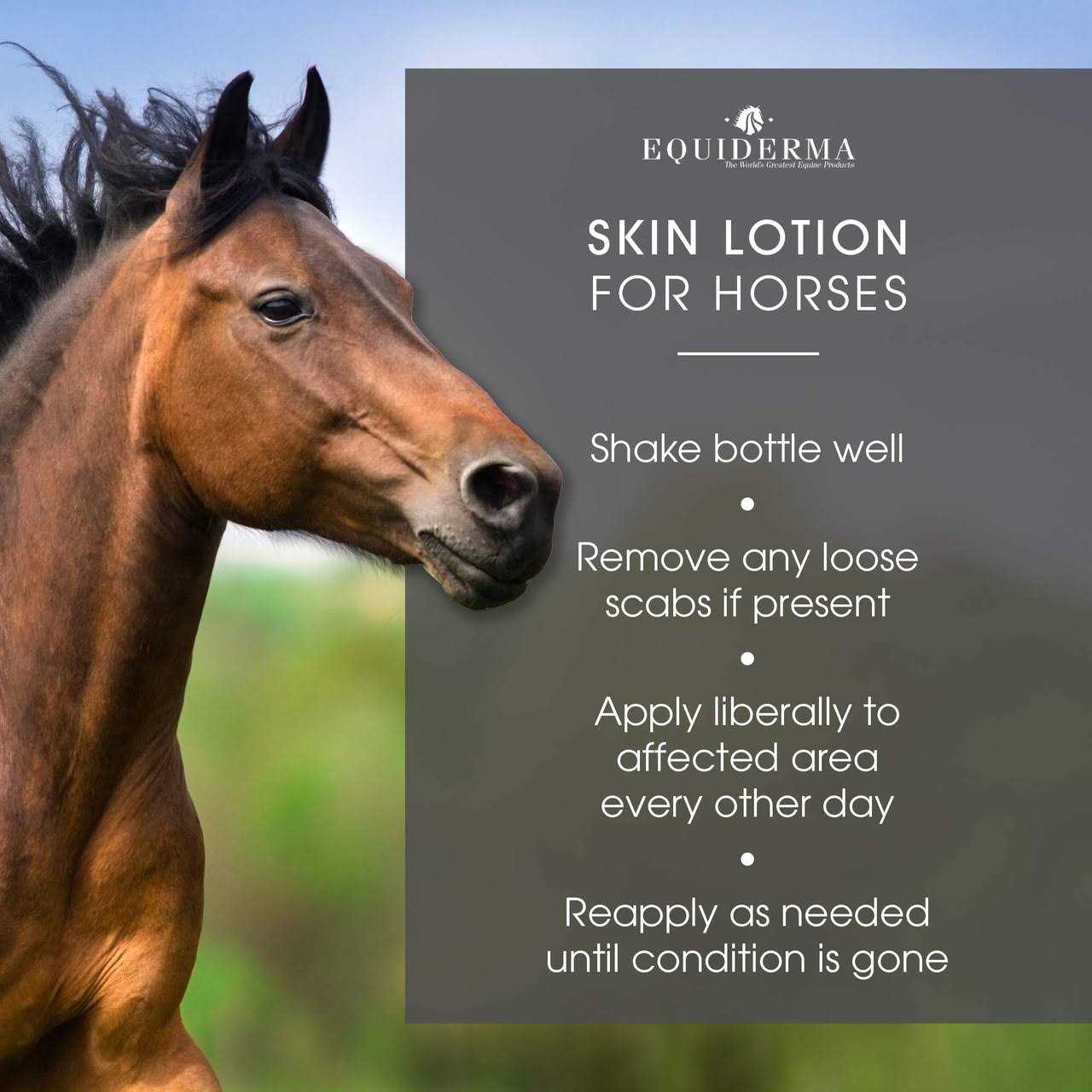 Alternative view of Equiderma Skin Lotion