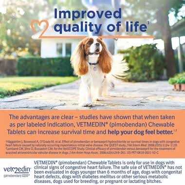 Alternative view of Vetmedin 5mg 1 Chewable Tablet