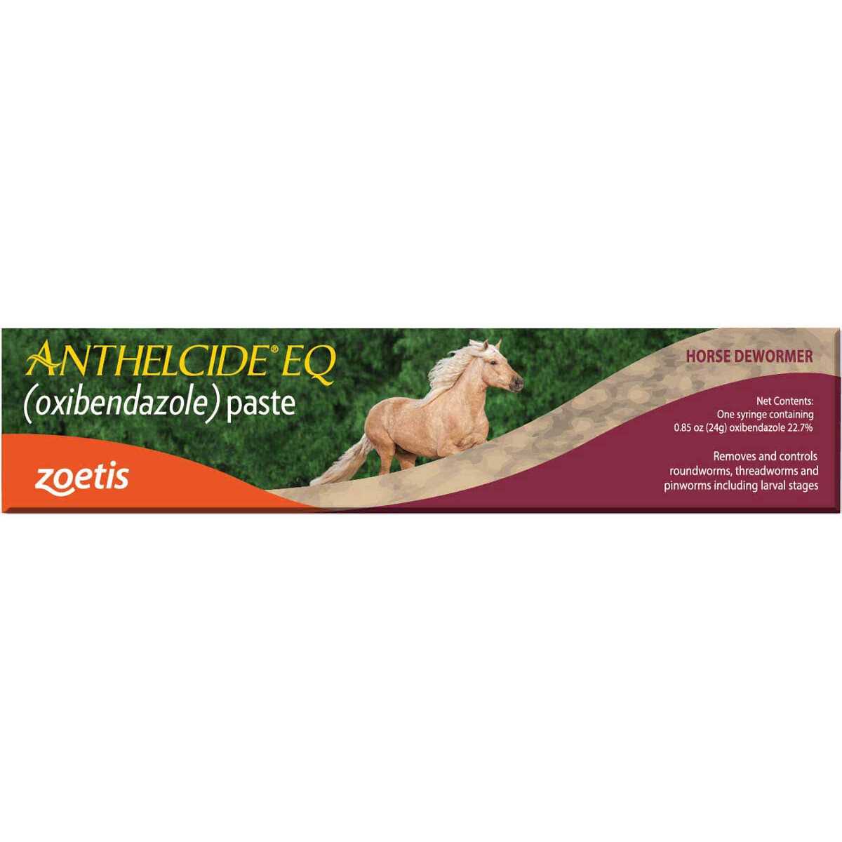 Alternative view of Anthelcide EQ Paste