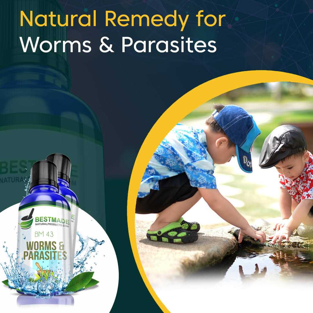 Alternative view of Bestmade Natural Products Worms and Parasites Remedy for Humans Bm43