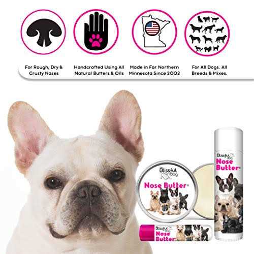 Alternative view of The Blissful Dog Bulldog Unscented Nose Butter