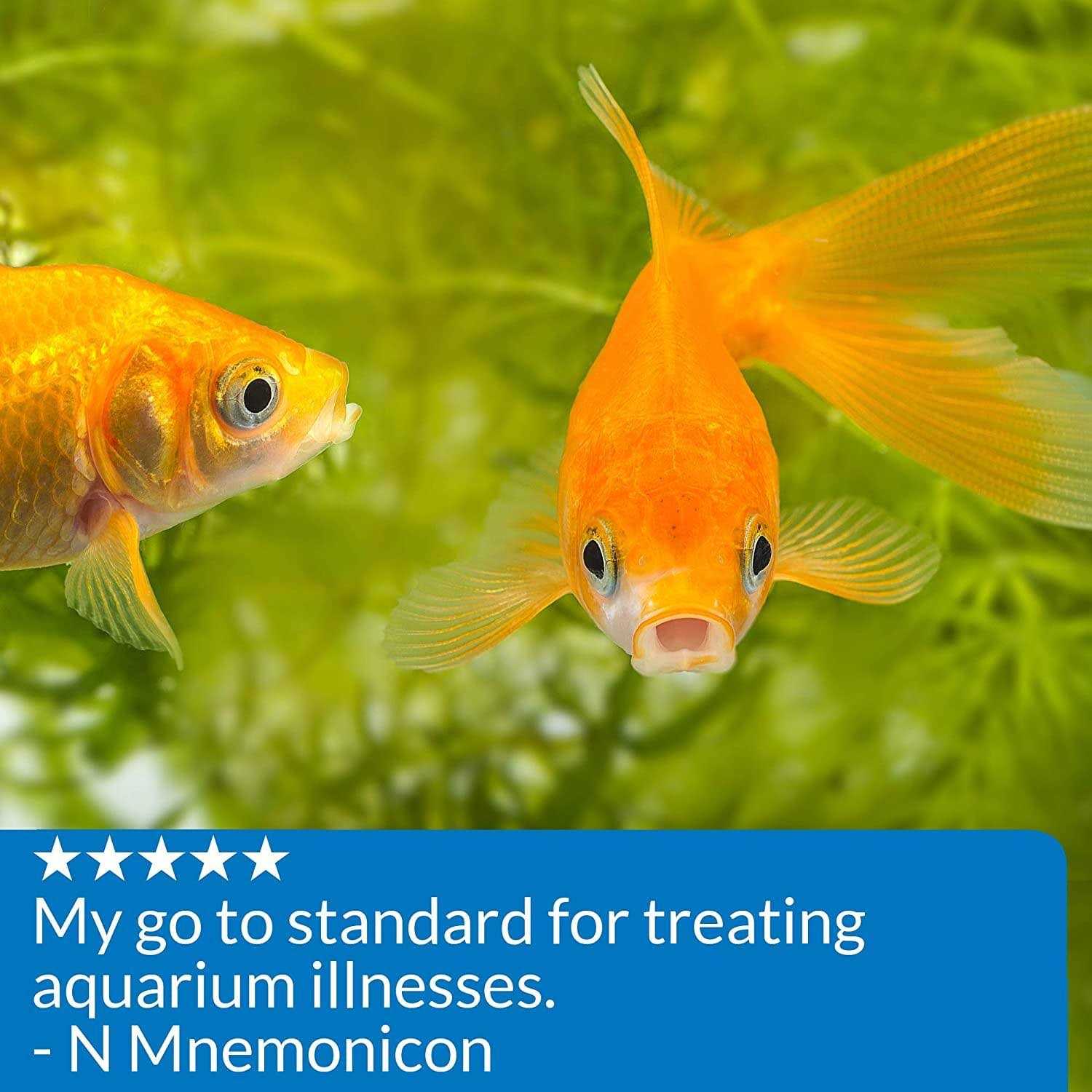Alternative view of API Pimafix Antifungal Fish Remedy