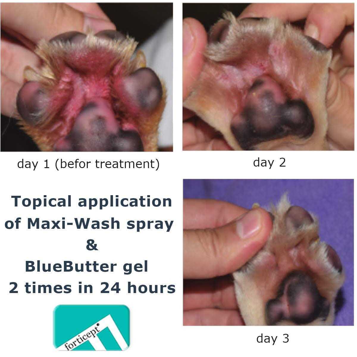 Alternative view of Forticept Blue Butter Hot Spot Treatment for Dogs & Cats Dog Wound Care
