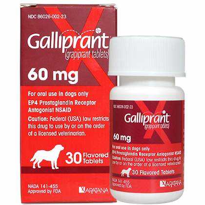Galliprant 60 Mg Tab 30 Ct For Dogs