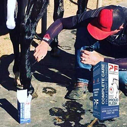 Alternative view of PF Wonder Salve Equine Wound Paste 2 oz. Proud Flesh Treatment Veterinarian Form