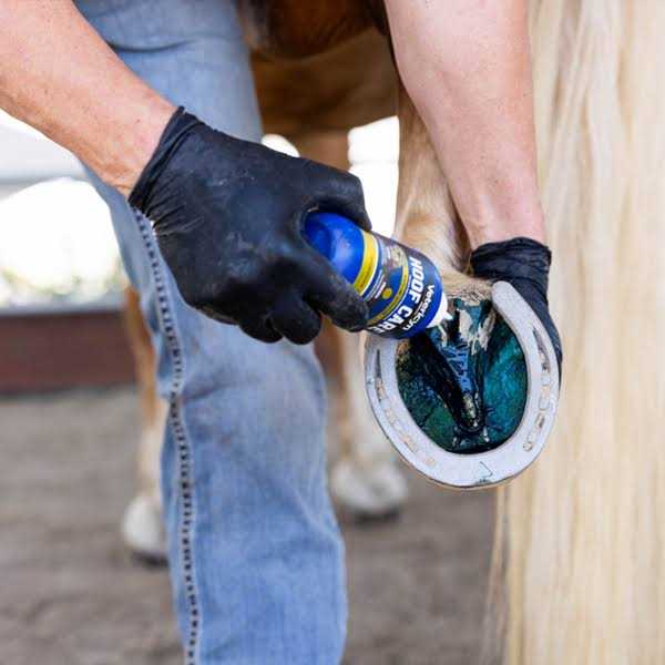 Alternative view of Vetericyn Mobility Hoof Care