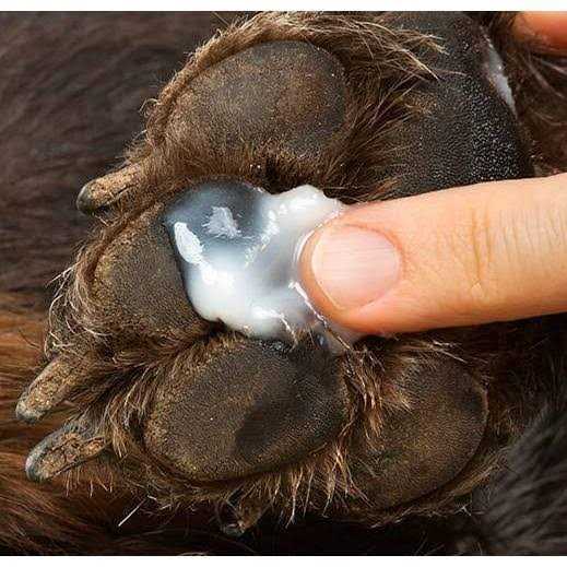 Alternative view of Healers Anti-Itch Hot Spot Relief for Pets with Hydrocortisone