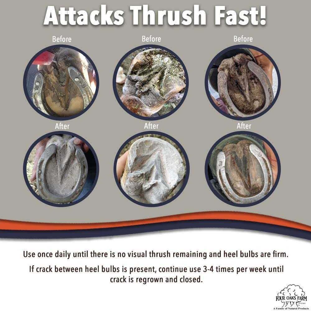 Alternative view of No Thrush Dry Formula