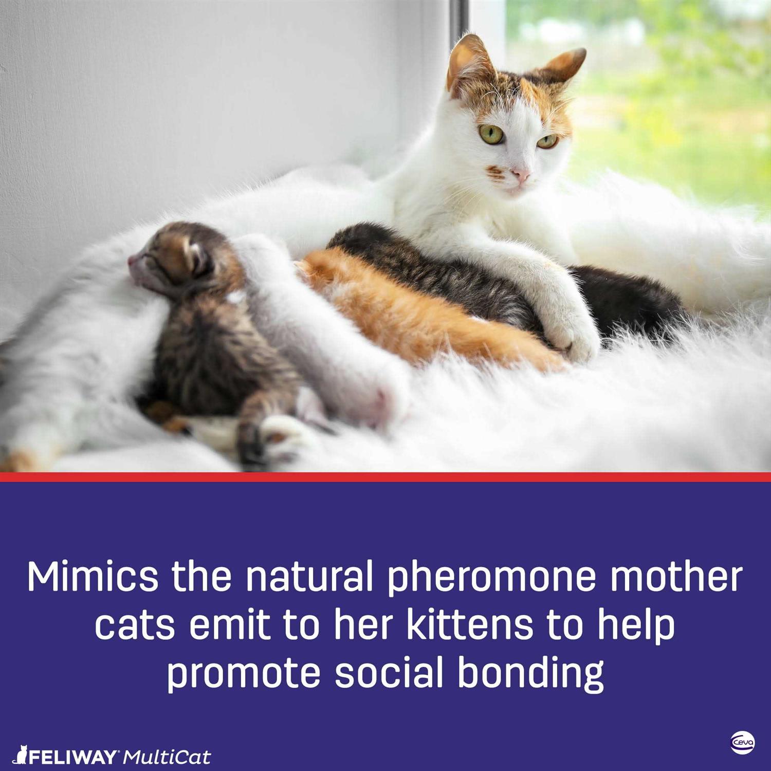 Alternative view of Feliway MultiCat 30-Day Diffuser Starter Kit