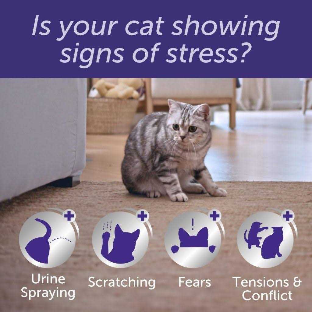 Alternative view of Feliway Optimum Enhanced Calming Pheromone 30 Day Cat Diffuser Refill