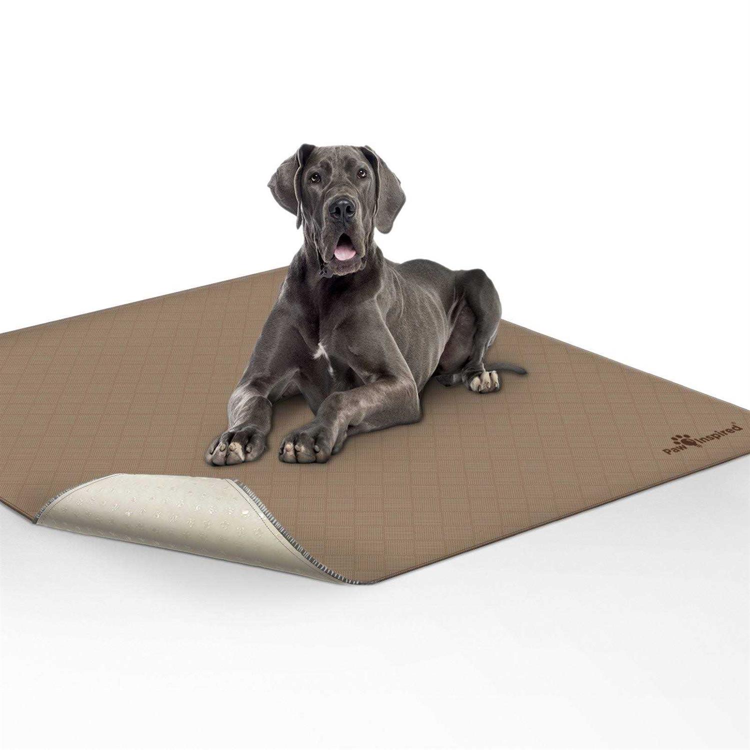 Paw Inspired Washable Pee Pads for Dogs Reusable Puppy Pads