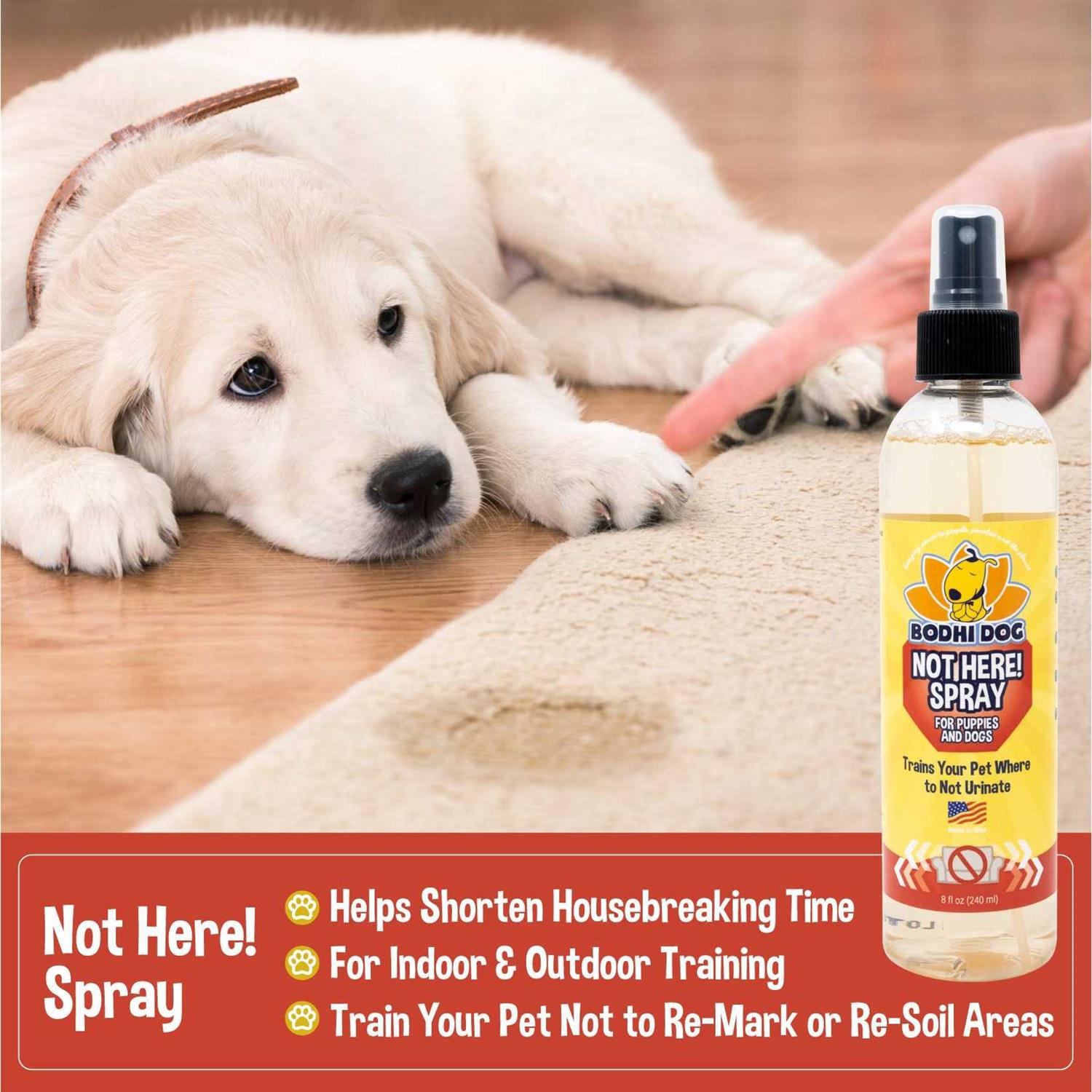 Alternative view of Bodhi Dog Not Here! Spray Trains Your Pet Where Not to Urinate