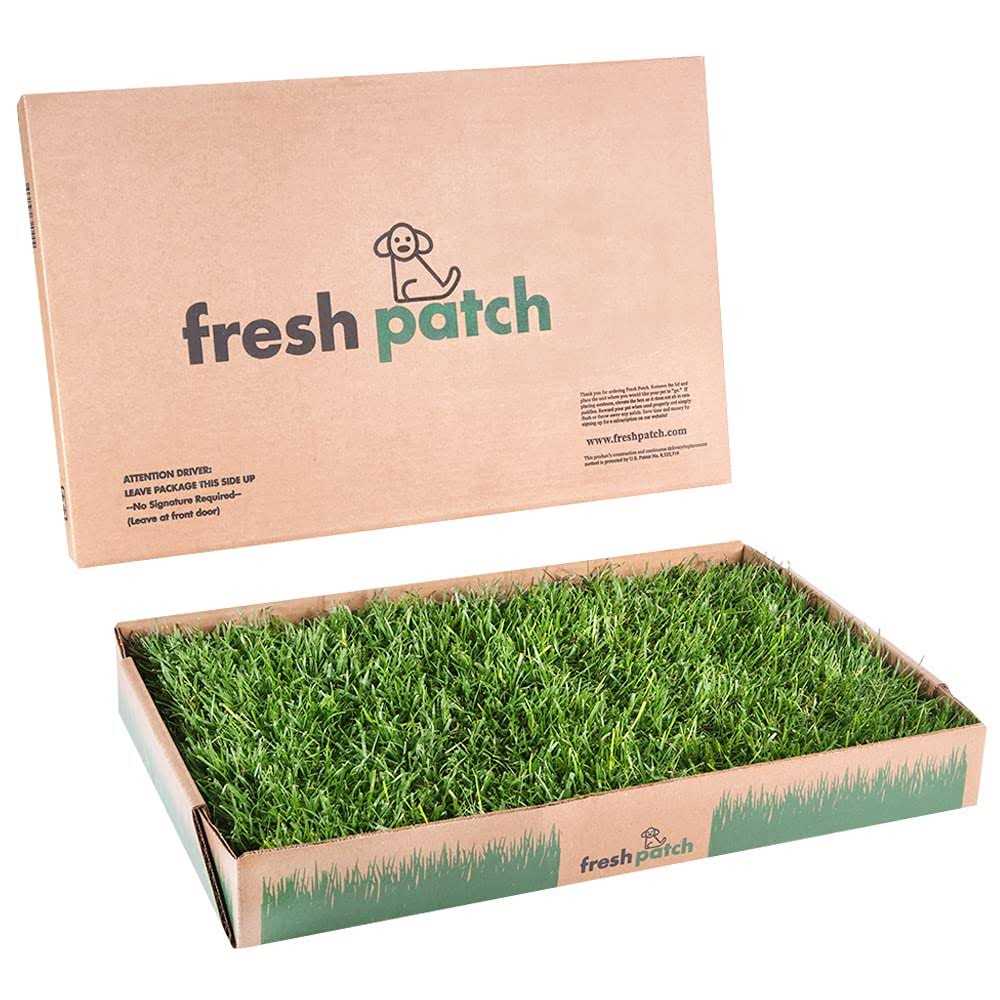 Fresh Patch Large Real Grass Pee and Potty Training Pad for Dogs between 15 and 30 pounds