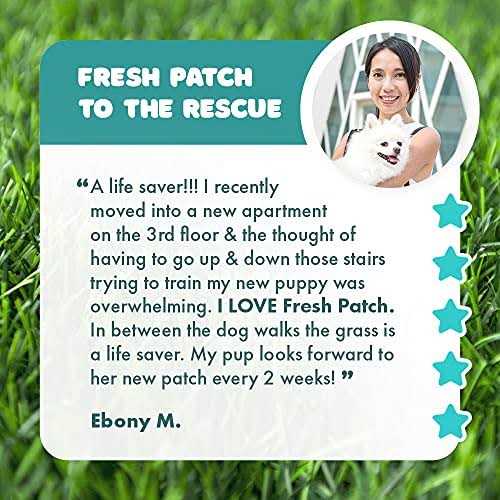 Alternative view of Fresh Patch Large Real Grass Pee and Potty Training Pad for Dogs between 15 and 30 pounds