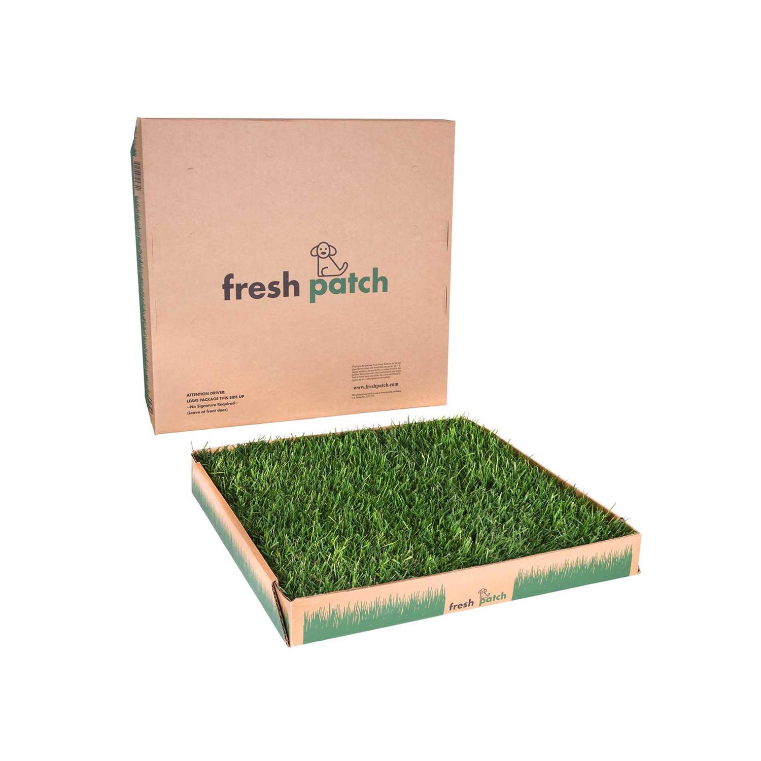 Fresh Patch Large Real Grass Pee and Potty Training Pad for Dogs between 15 and 30 pounds