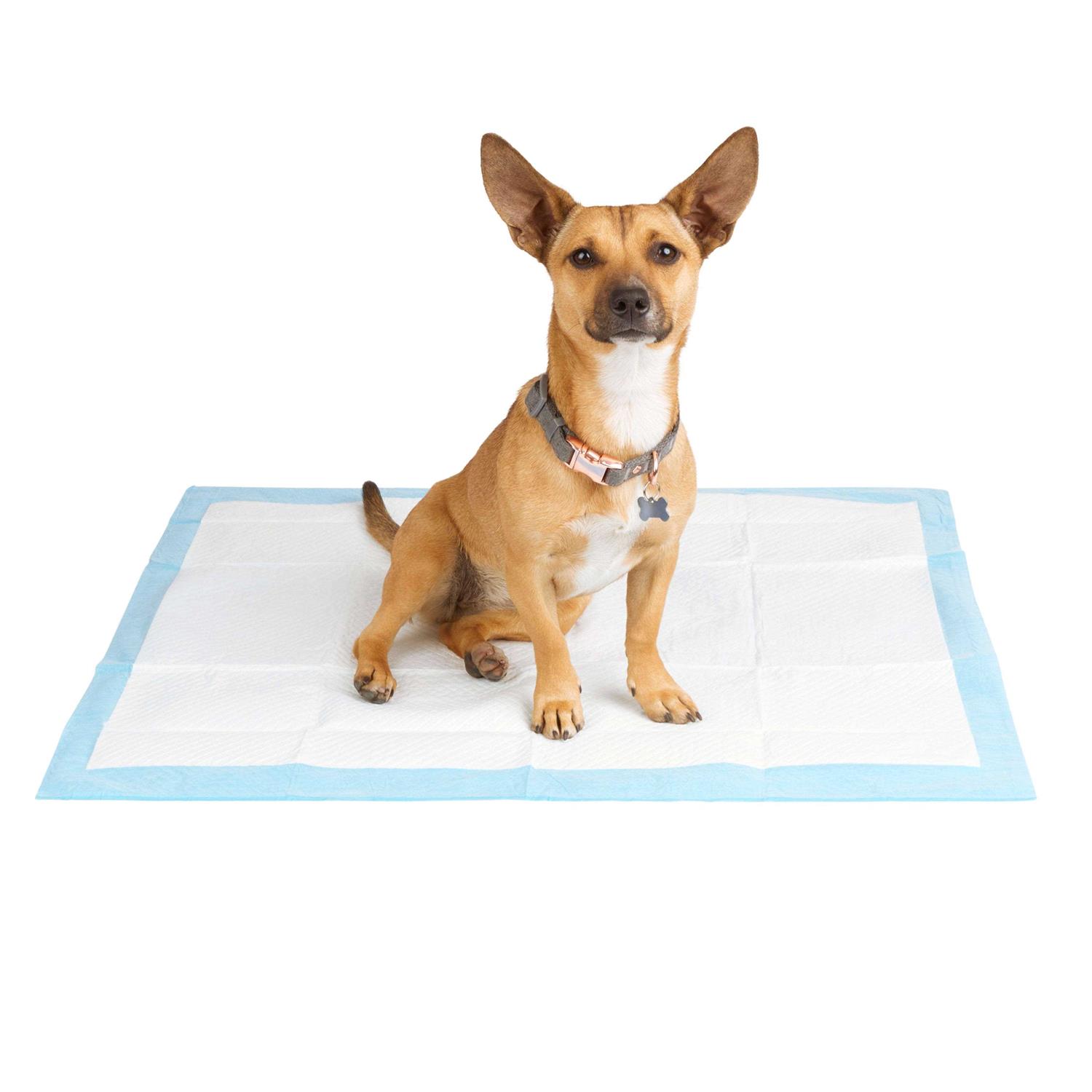 Alternative view of So Phresh Large Leak Guard Quilted Potty Pads