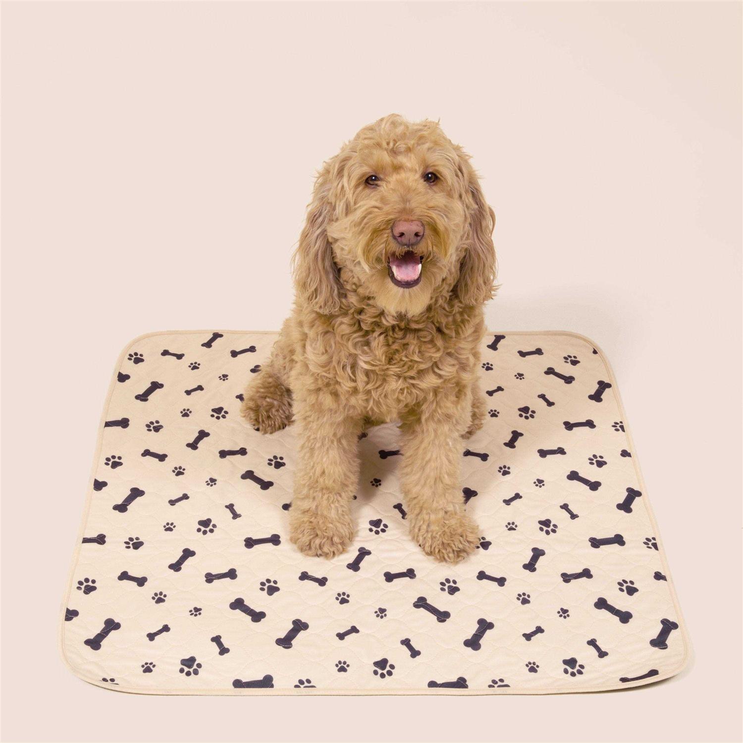 Alternative view of Potty Buddy Reusable Pet Pad