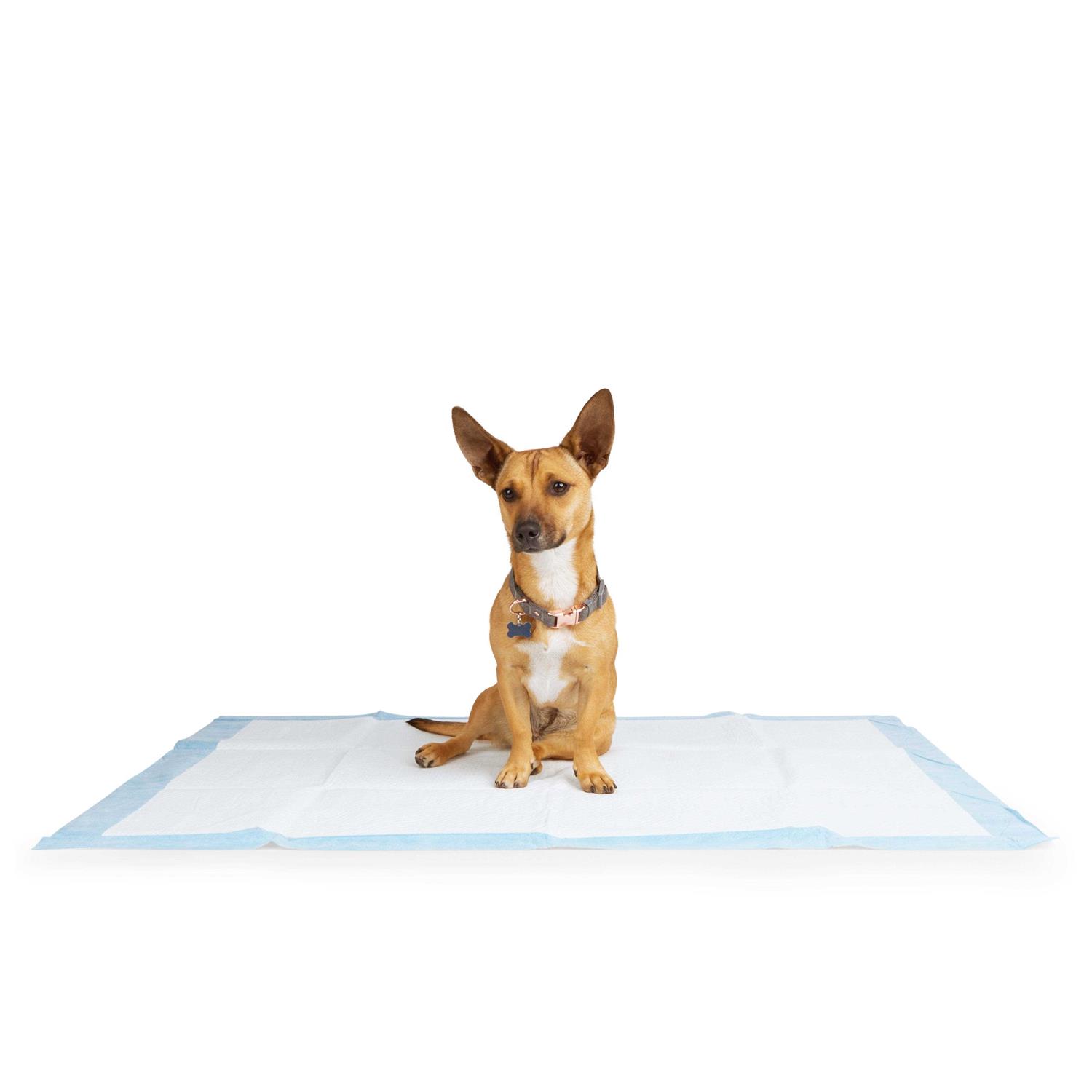 Alternative view of So Phresh Maximum Absorbency XX-Large Leak Shield Potty Pads
