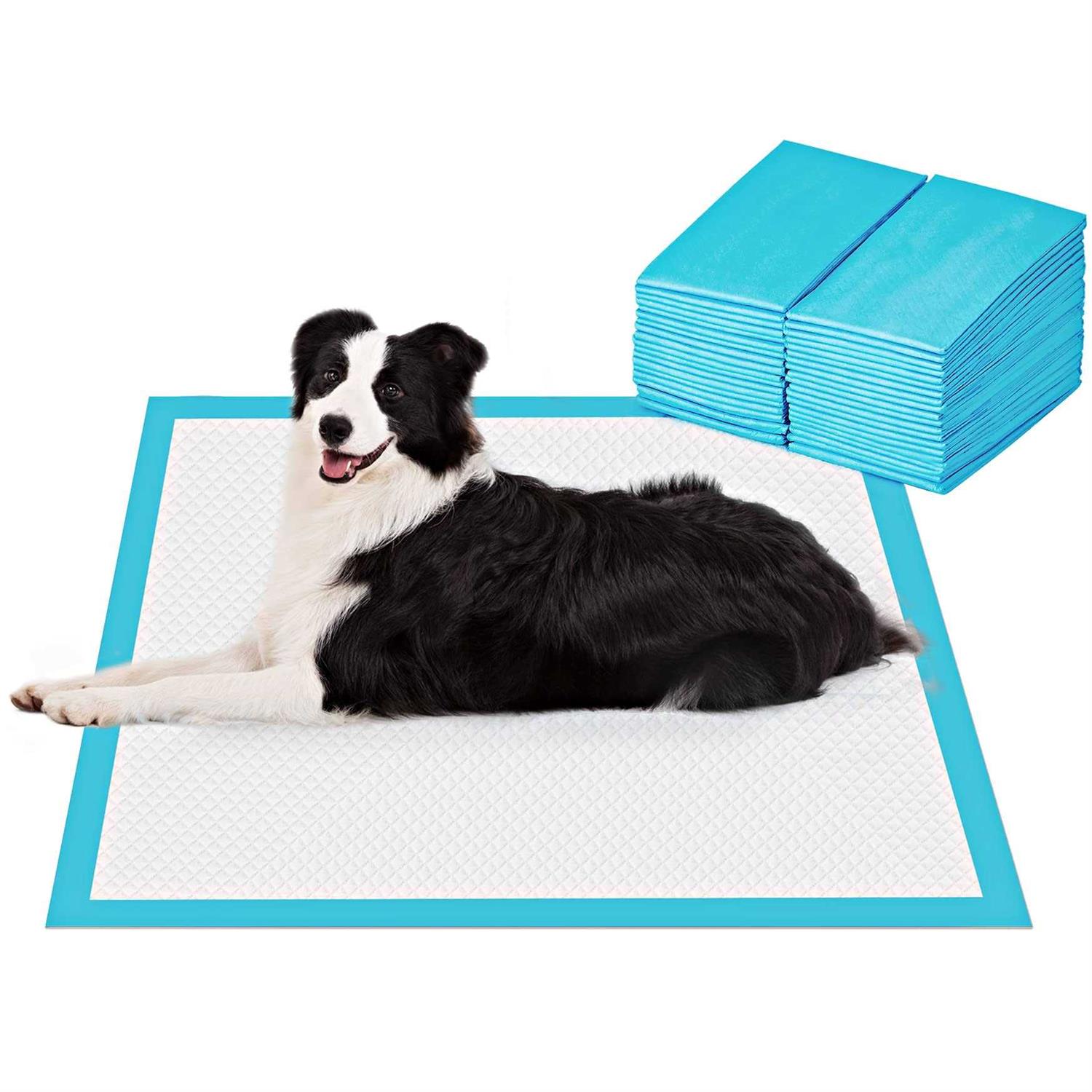 BESTLE Large Pet Training and Puppy Pads Pee Pads for Dogs Super Absorbent & Leak-Proof