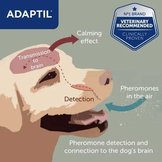 Alternative view of Adaptil 30 Day Starter Kit