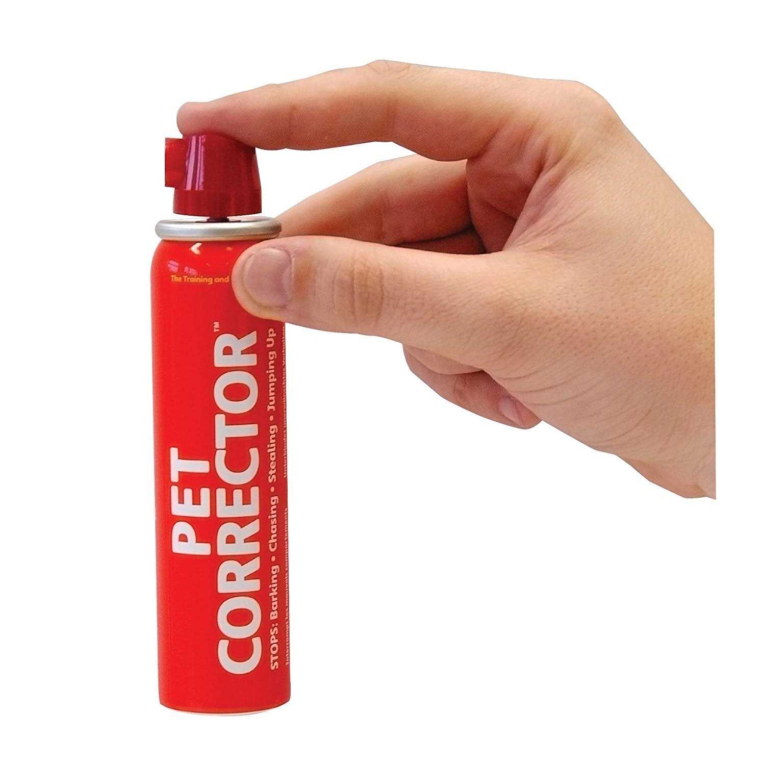 Alternative view of Company of Animals Pet Corrector Dog Training Aid