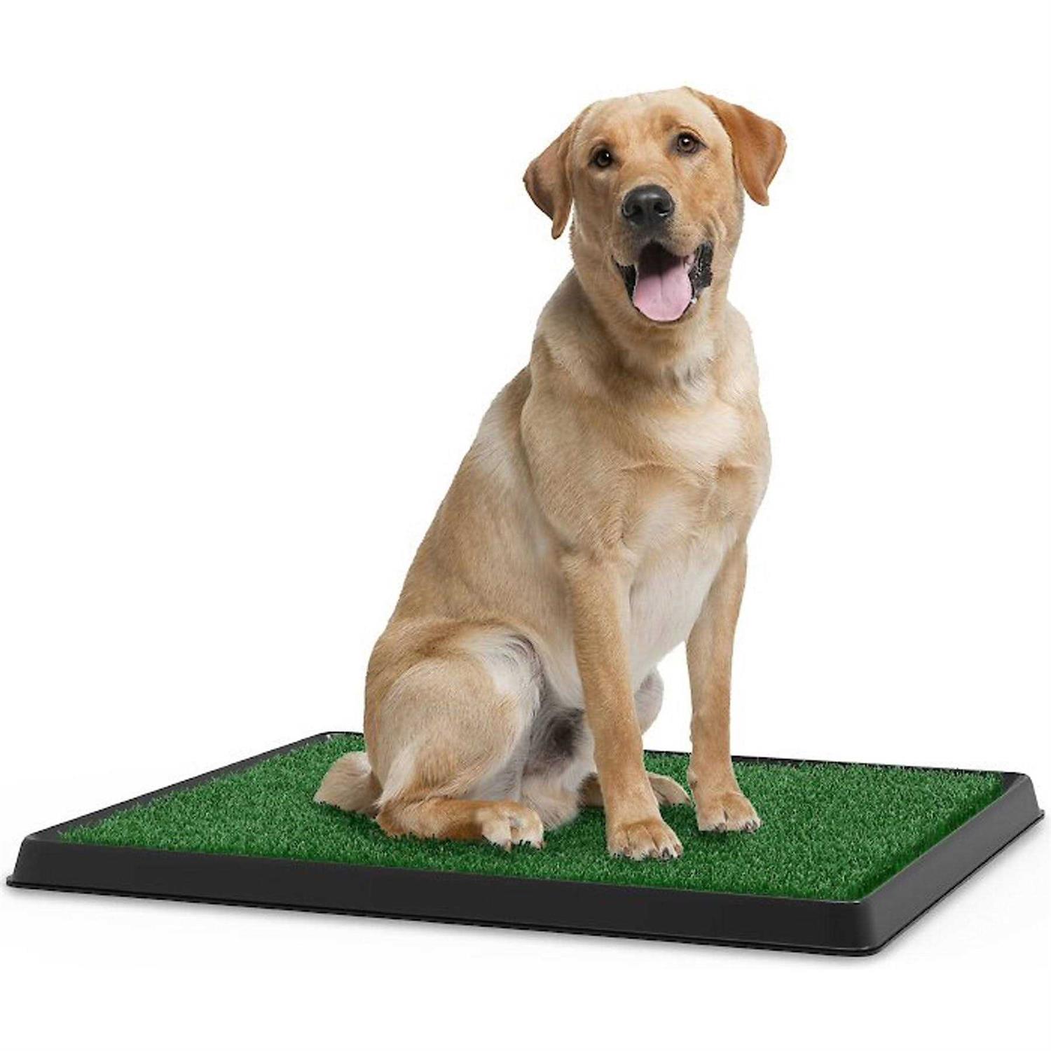 Pet Adobe Artificial Grass Potty Trainer Mat