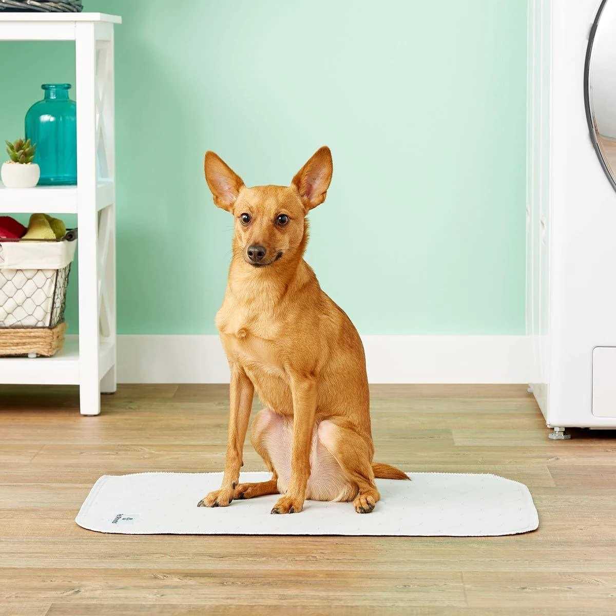 Alternative view of Pet Parents Pawtect Pads Washable Dog Pee Pads