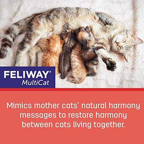 Alternative view of Feliway Multicat 3-Pack Refill