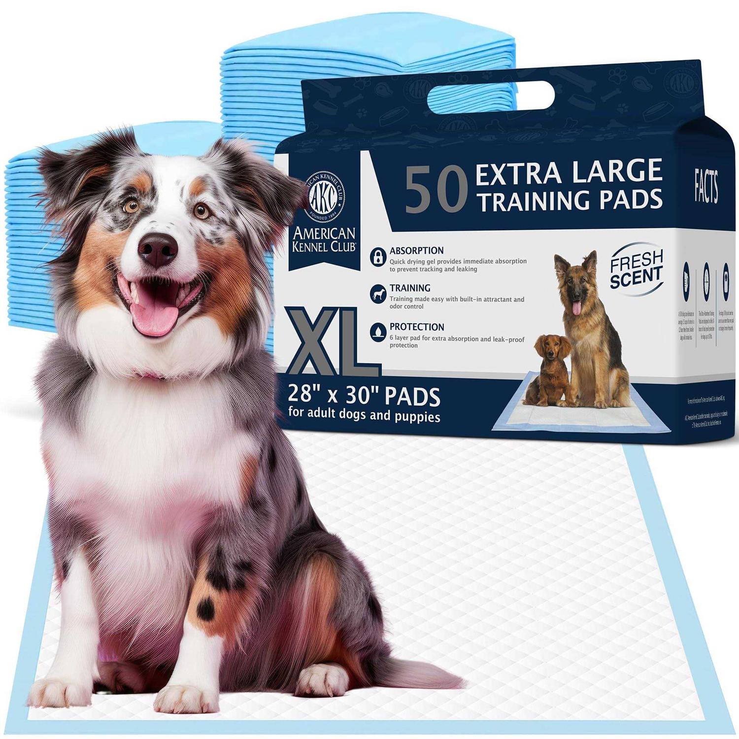 American Kennel Club Training Pads