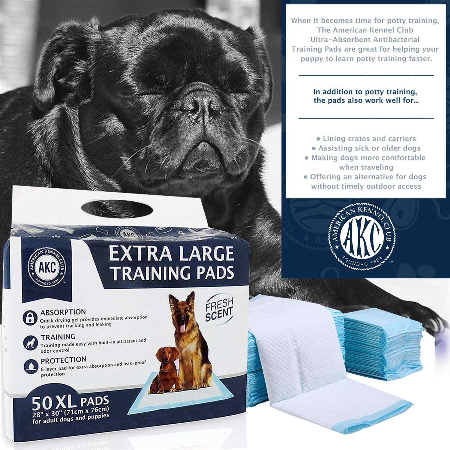 Alternative view of American Kennel Club Training Pads