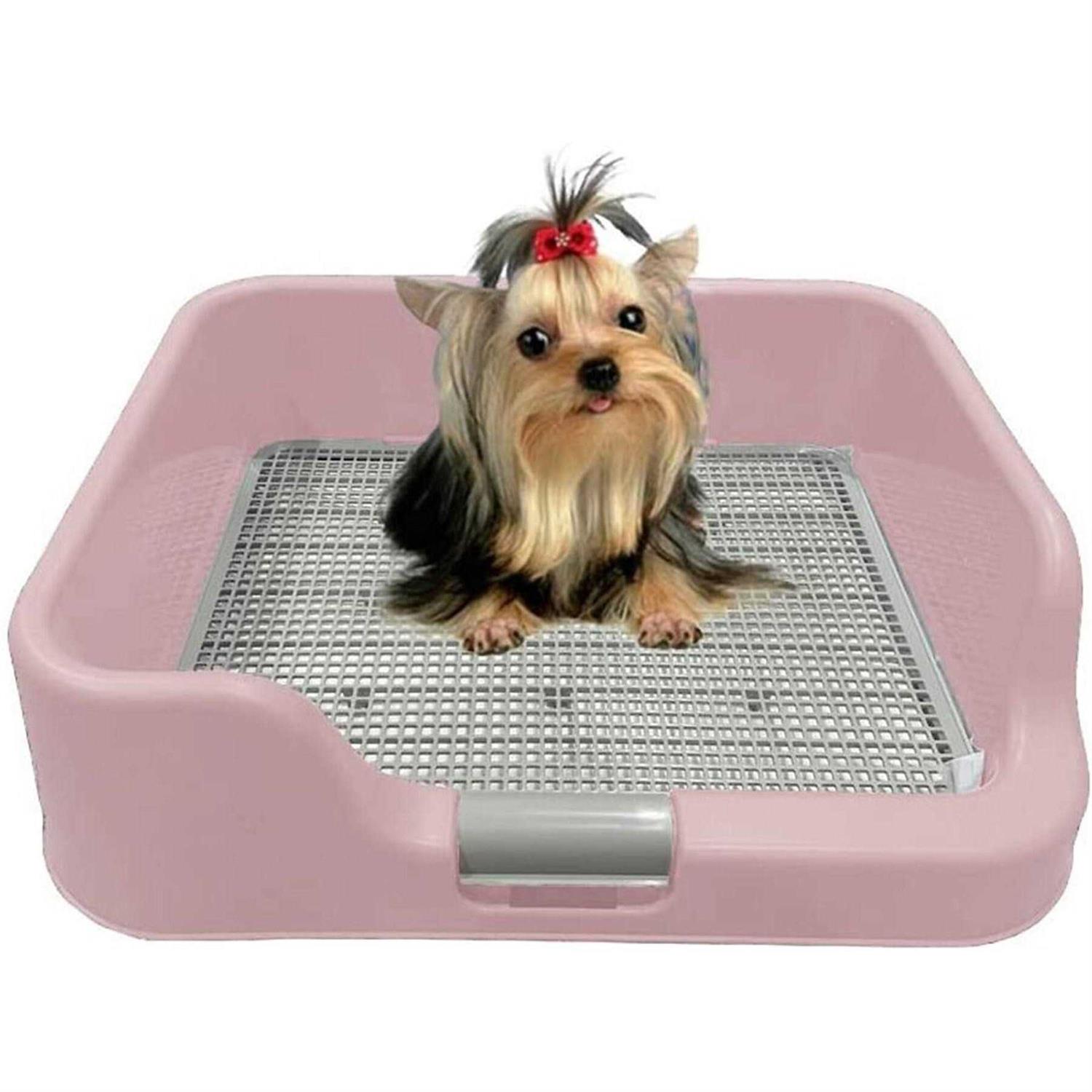 PS KOREA Indoor Dog Potty Tray with Protection Wall Every Side for No Leak, Spill, Accident