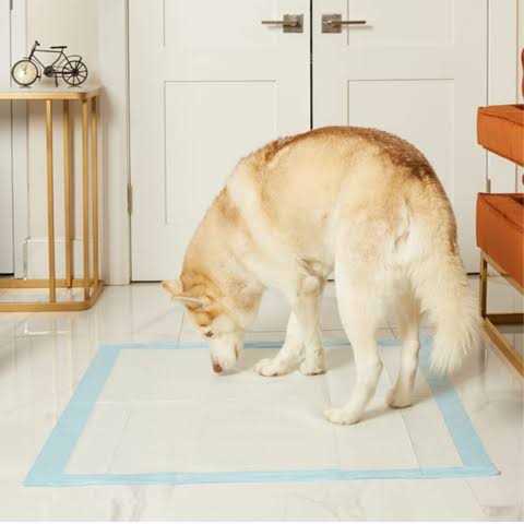 Alternative view of Petsworld Giant Potty Pads Odor Eliminating 36 x Pee Pads for Dogs
